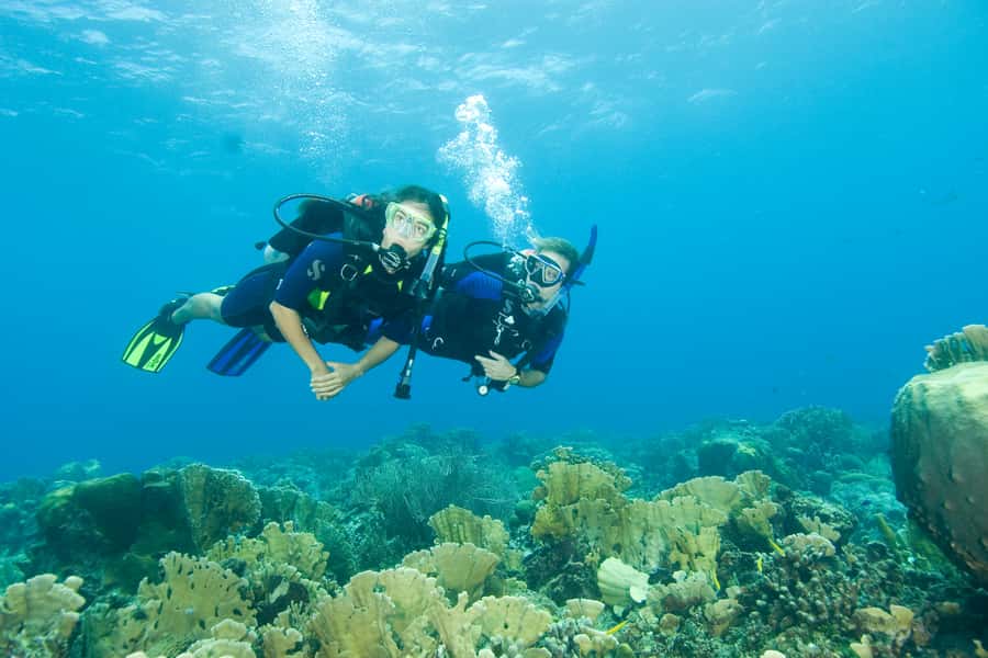 Tayrona National Park: Scuba Diving Tour for Beginners - A four-hour plan with a practical pace