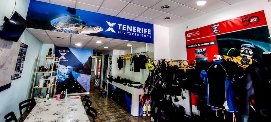 Tenerife: 2-Dive Private Scuba Discovery Course - The first session: learning to feel at ease
