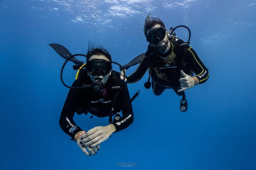 Tenerife - 2 Guided Dives for Certified Divers - Half Day - Equipment, transport, and support included