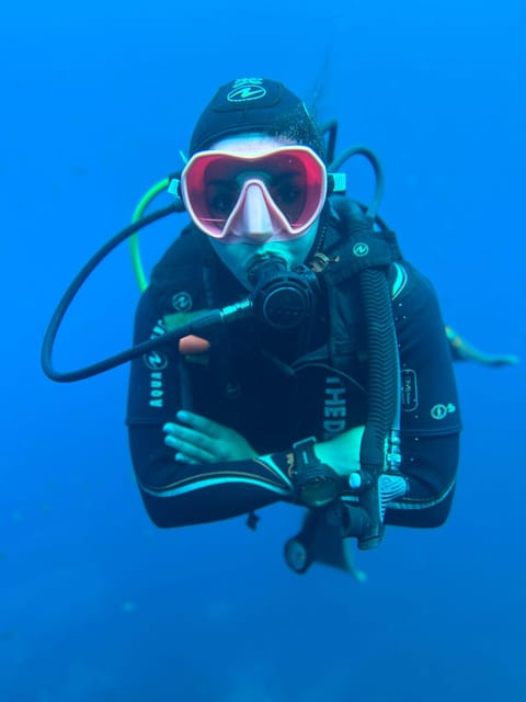 Tenerife - 2 Guided Dives for Certified Divers - Half Day - Timing, paperwork, and the flight rule