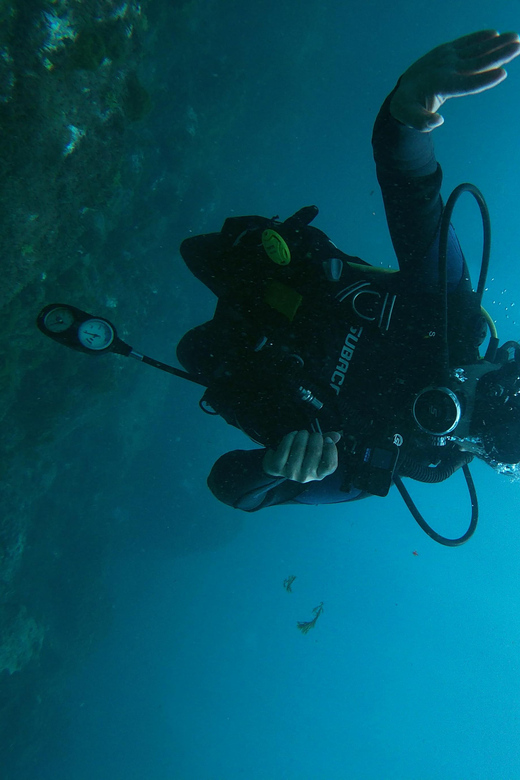 Tenerife - 2 Guided Dives for Certified Divers - Half Day - Who will enjoy this Tenerife outing most