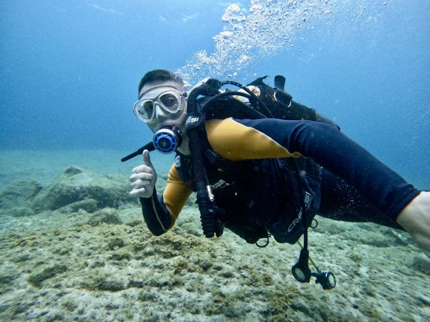 Tenerife: Beginner's Dive at a Spot with Turtle Sightings - Key points to know before you book