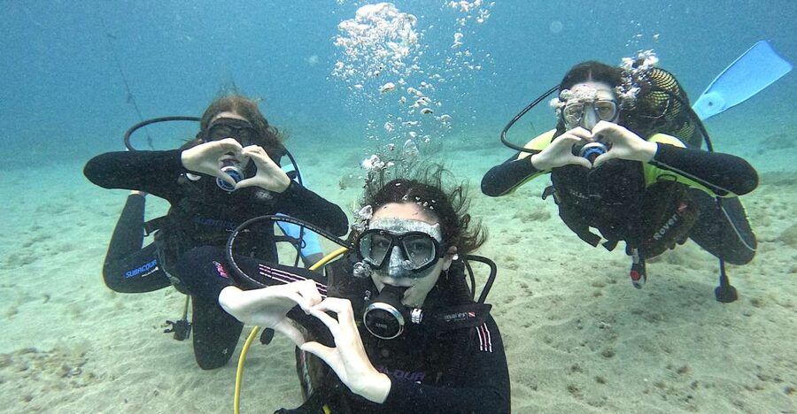 Tenerife: Beginner's Dive at a Spot with Turtle Sightings - Meeting the team at Puerto Colón