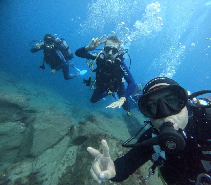 Tenerife: Beginner's Dive at a Spot with Turtle Sightings - What the 45-minute underwater session feels like