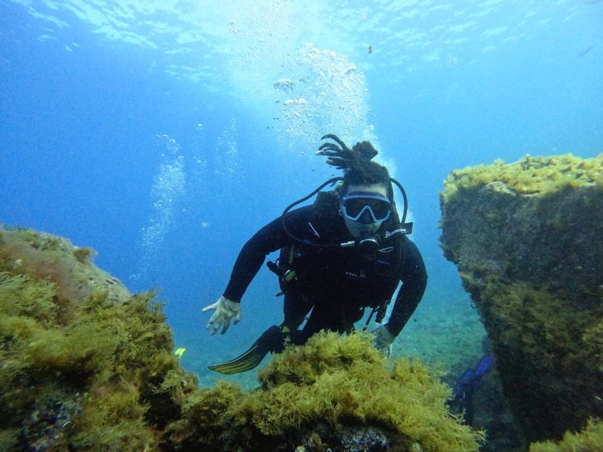 Tenerife: Beginner's Dive at a Spot with Turtle Sightings - Snorkeling while others use the tanks