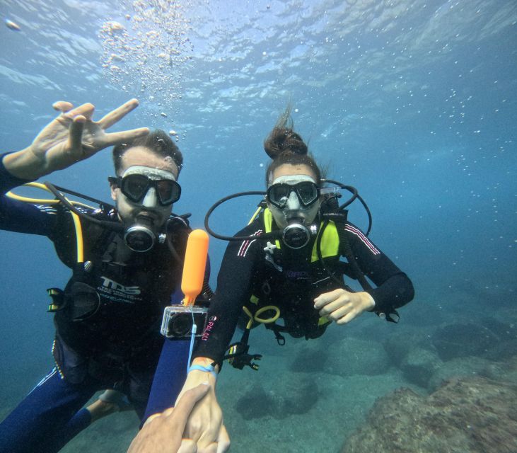 Tenerife: Beginner's Dive at a Spot with Turtle Sightings - The instructors are the real strength