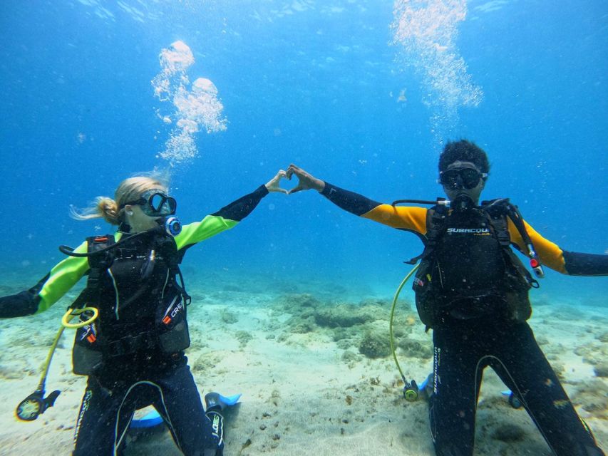 Tenerife: Beginner's Dive at a Spot with Turtle Sightings - Is $82 good value?