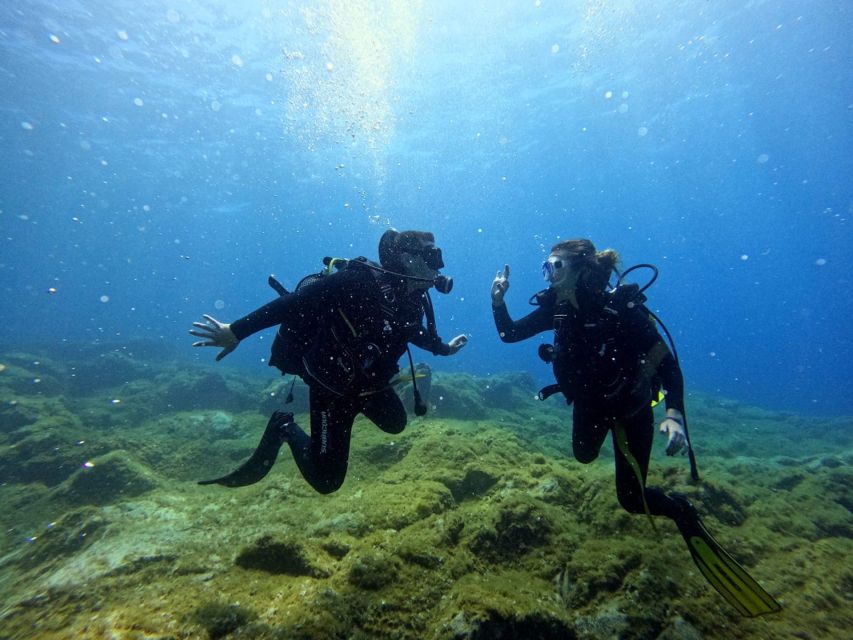 Tenerife: Beginner's Dive at a Spot with Turtle Sightings - Should you book this beginner scuba trip?