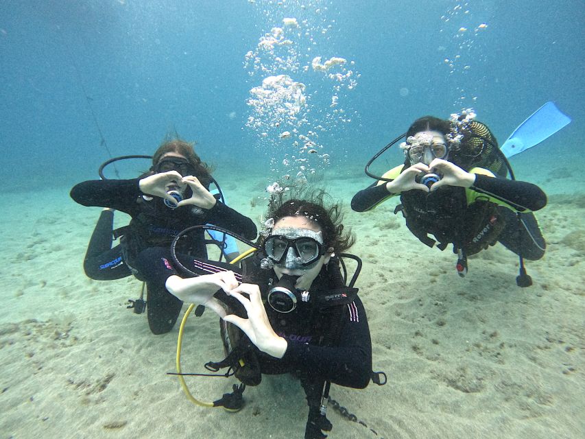 Tenerife: Beginner's Dive at a Spot with Turtle Sightings - The 15-minute speedboat ride south