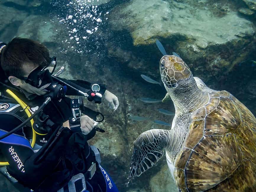 Tenerife: Beginner Scuba Dive Experience - Key points to know before booking