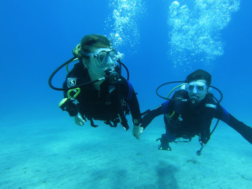 Tenerife: Beginner Scuba Dive Experience - Practical details that make the day easier