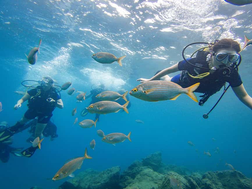 Tenerife: Beginner Scuba Dive Experience - The 30-minute briefing before entering the water