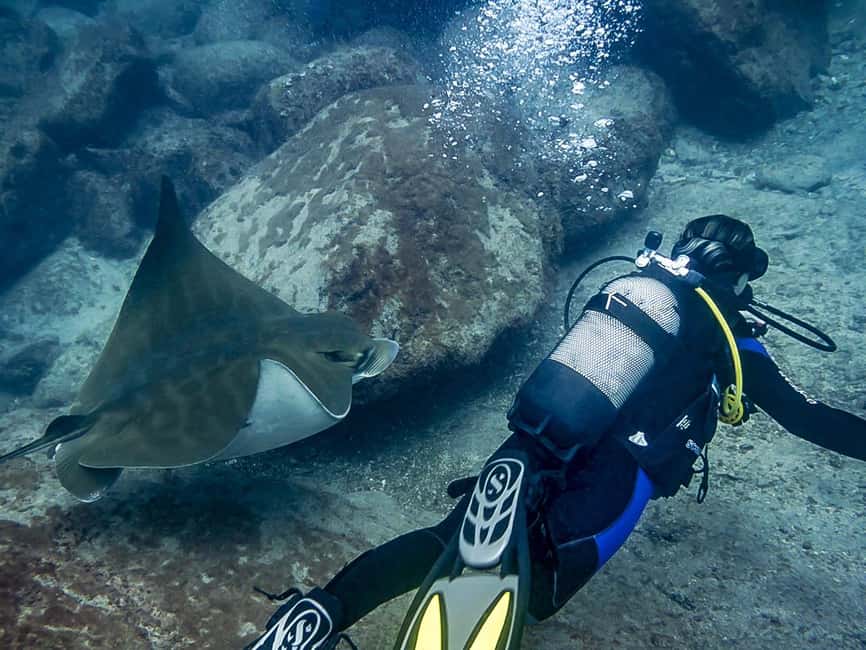 Tenerife: Beginner Scuba Dive Experience - The people make the biggest difference