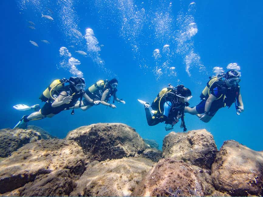 Tenerife: Beginner Scuba Dive Experience - What $83 includes and what it does not