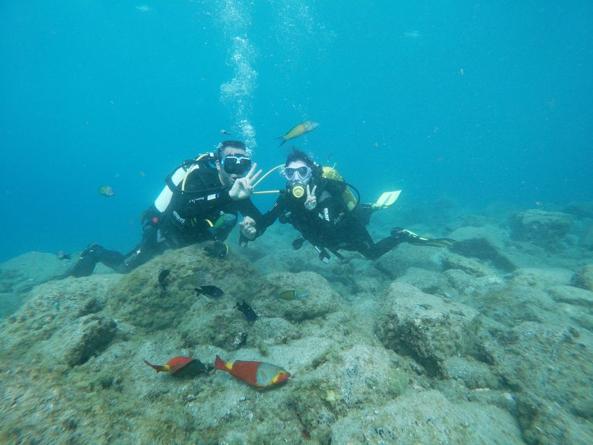 Tenerife: Costa Adeje Private Diving Lesson Experience - Key points to know before booking