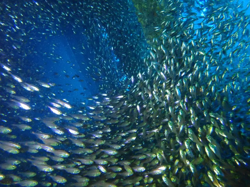 Tenerife: Costa Adeje Private Diving Lesson Experience - Cancellation and flexible booking