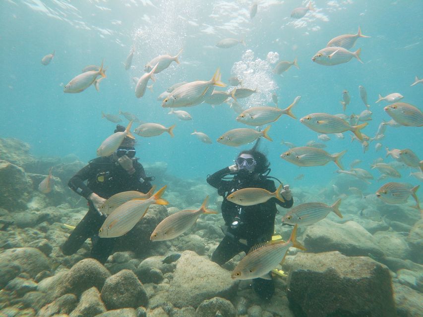 Tenerife: Costa Adeje Private Diving Lesson Experience - Learning to breathe and use the equipment