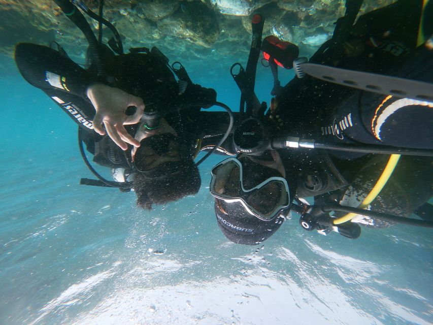 Tenerife: Costa Adeje Private Diving Lesson Experience - Looking for dolphins, tuna, and underwater rock formations