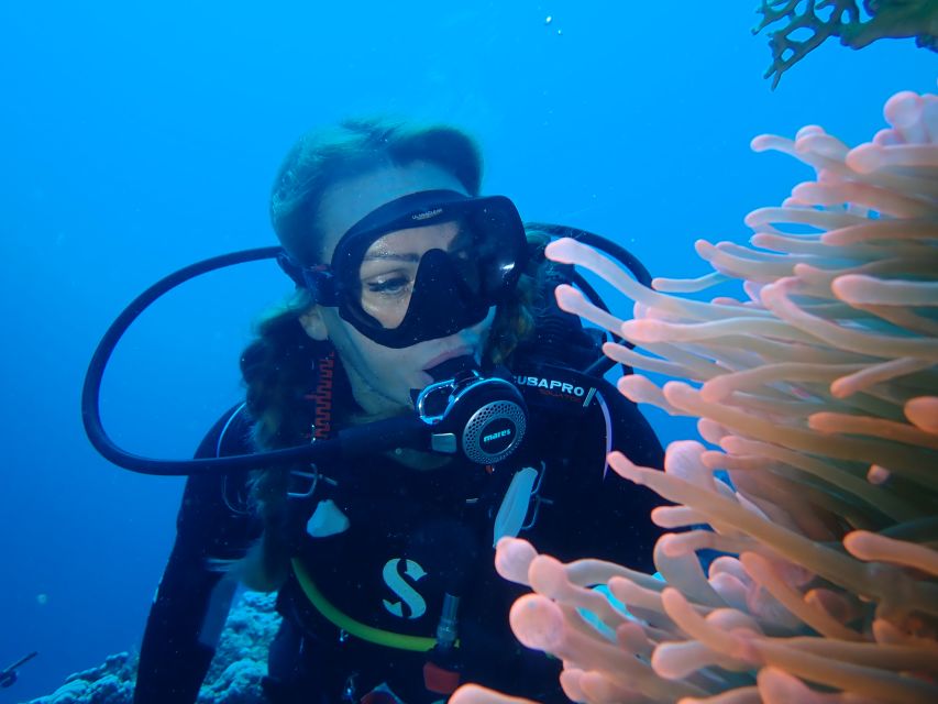 Tenerife: Costa Adeje Private Diving Lesson Experience - Returning to shore and finishing at the center