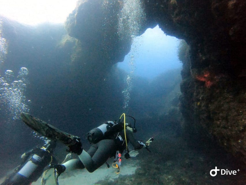 Tenerife - Discover Scuba Diving Experience with Instructor - Key points to know before booking