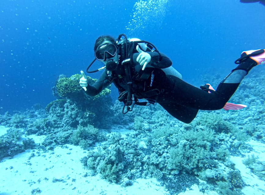 Tenerife - Discover Scuba Diving Experience with Instructor - From the main square to Baja de la Tortuga