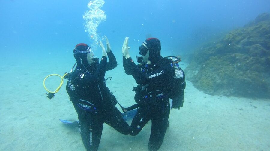 Tenerife: Discover Scuba Diving with Free Photos - Key points at a glance