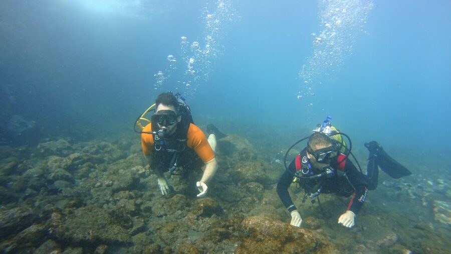Tenerife: Discover Scuba Diving with Free Photos - Photos are useful, but expect only a few