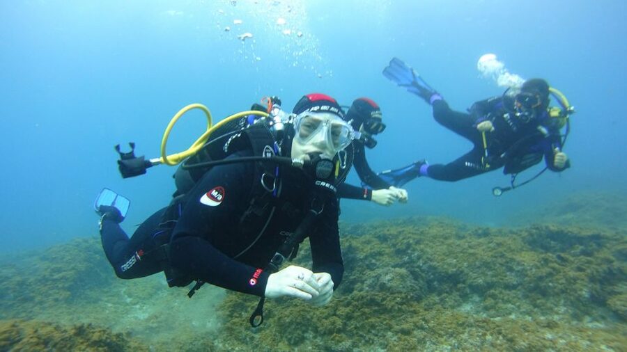 Tenerife: Discover Scuba Diving with Free Photos - Health, comfort, and the 24-hour rule
