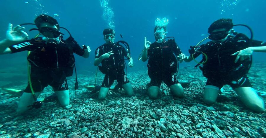 Tenerife : Diving License international in one day - The Second Underwater Session and Marine Life