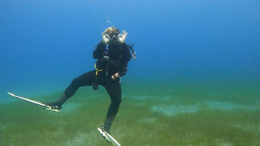 Tenerife: PADI Open Water Diver Course - Key points to know before booking