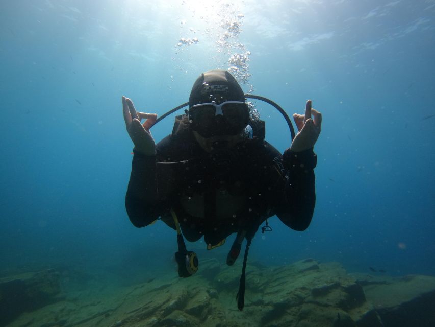 Tenerife: PADI Open Water Diver Course - Tenerife marine life adds a strong reward