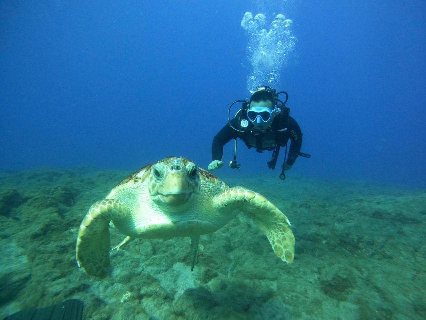 Tenerife: PADI Open Water Diver Course - Small groups make a difference for beginners