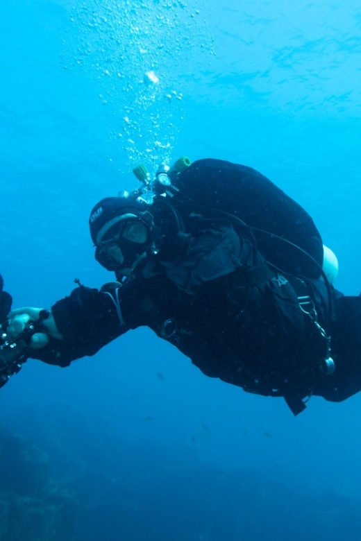 Tenerife : Private Dive for Beginners from a Boat - The boat trip to a beginner-friendly site