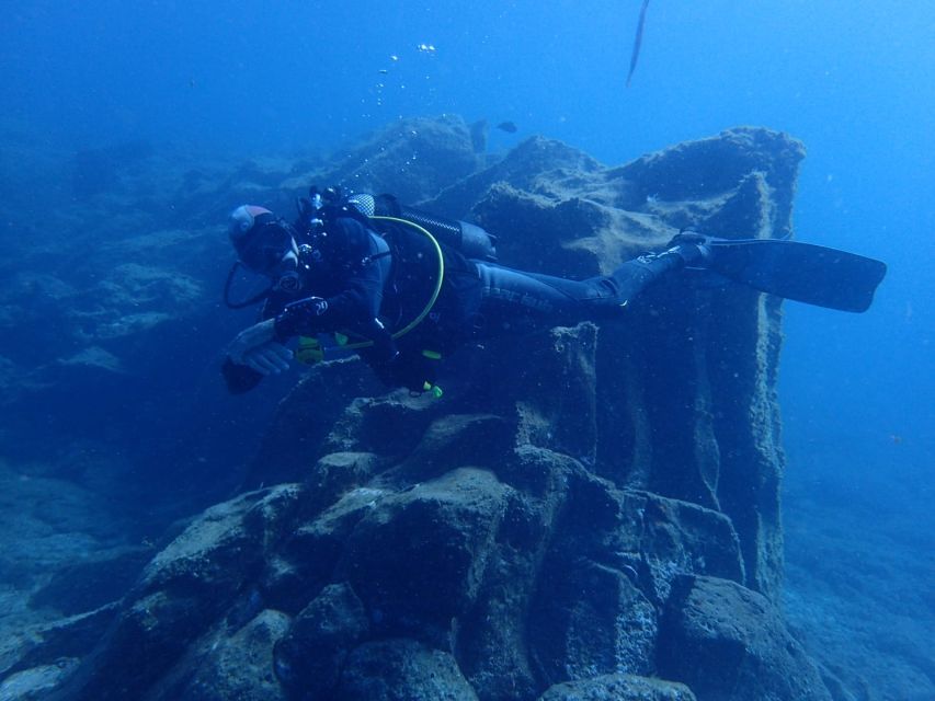 Tenerife : Private Dive for Beginners from a Boat - What the $118 price covers