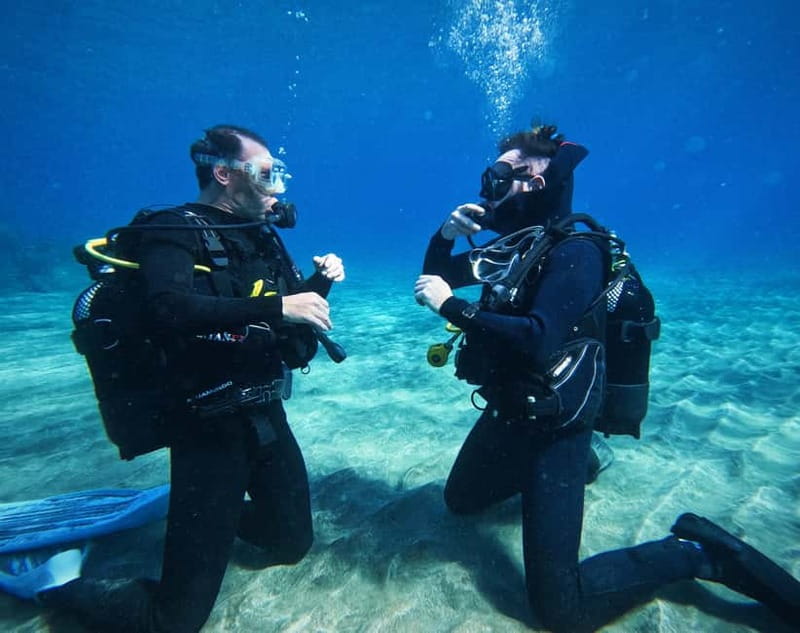 Tenerife: Private Scuba Diving–Certified Instructor & Photos - Why this private Tenerife experience feels different
