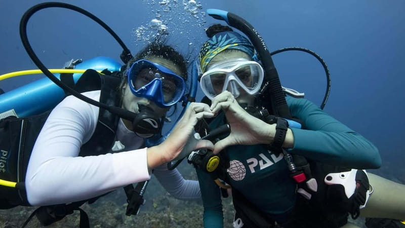 Tenerife: Private Scuba Diving–Certified Instructor & Photos - From Los Cristianos pickup to the coast