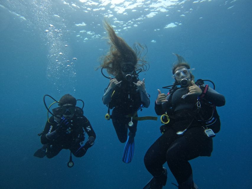 Tenerife: Puerto Colon Certified Scuba Dive by Speed Boat - Meeting at Puerto Colón beside Dock 3