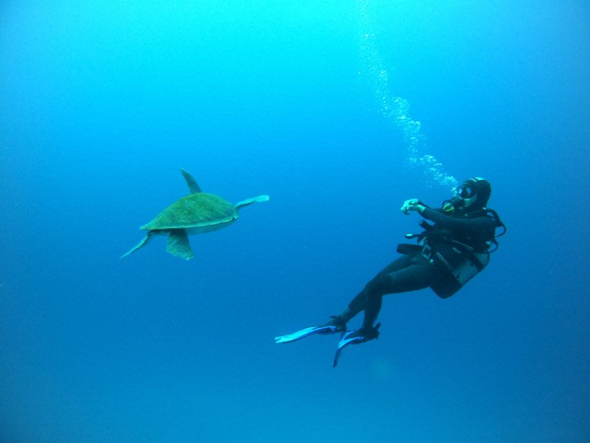 Tenerife: Puerto Colon Certified Scuba Dive by Speed Boat - Entering the water by backward roll
