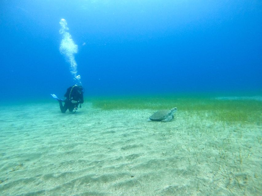 Tenerife: Puerto Colon Certified Scuba Dive by Speed Boat - Returning equipment and talking through the session