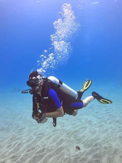 Tenerife: Scuba Dive & Fun, Discover the Magic of the Ocean - The 30 to 40-minute ocean session