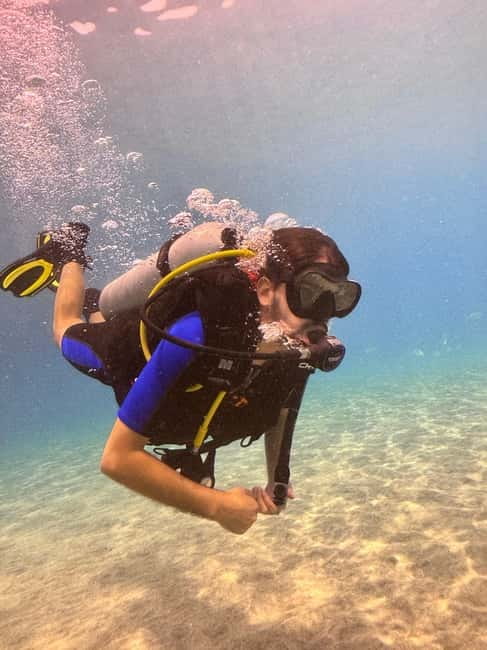 Tenerife: Scuba Dive & Fun, Discover the Magic of the Ocean - Wildlife viewing after the main session