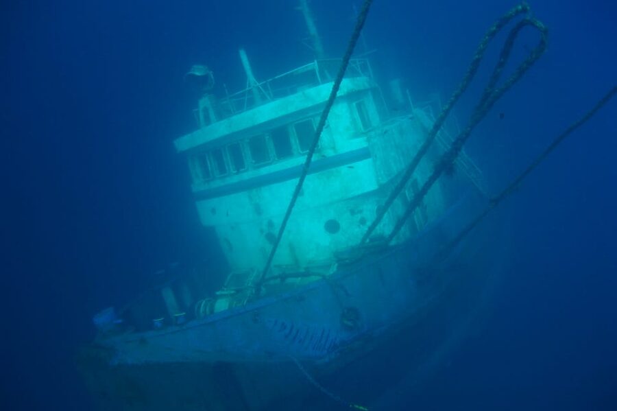 Tenerife Scuba Diving for Certified Divers - What you may see beneath Tenerife