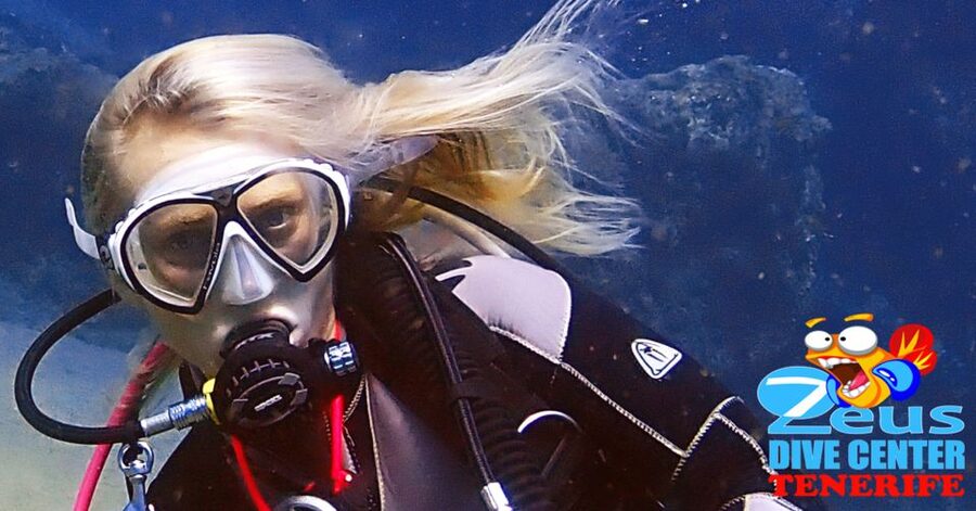 Tenerife Scuba Diving for Certified Divers - Who should choose this Tenerife outing?