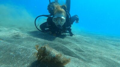 Tenerife: Scuba Diving Lesson and Abades Protected Area Dive