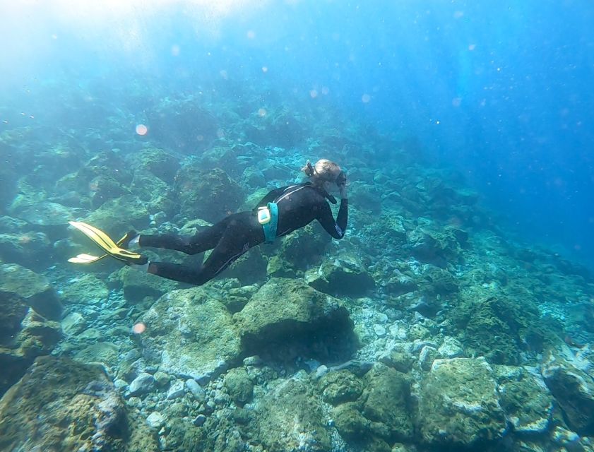 Tenerife : Snorkeling underwater with freediving Instructor - A small group with Carlos and multilingual instruction