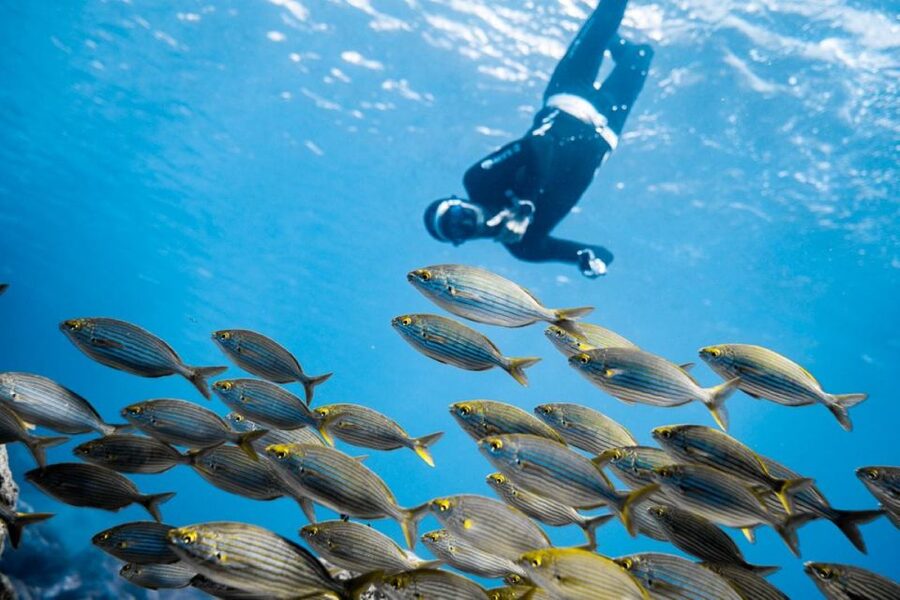 Tenerife : Snorkeling underwater with freediving Instructor - Starting at Radazul Beach and the wooden platform