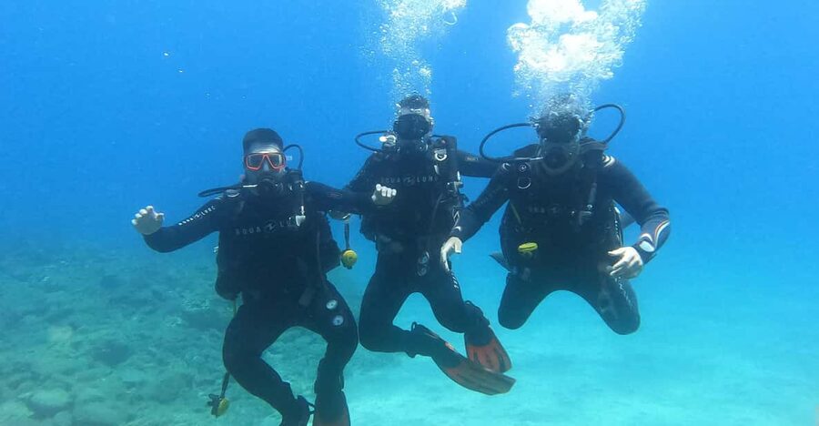 Tenerife south: Scuba Dive for beginners in Adeje - Starting at 8:45 at the GF Isabel Hotel