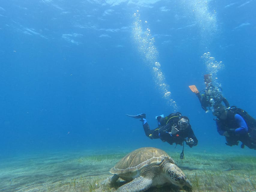 Tenerife south: Scuba Dive for beginners in Adeje - What the morning feels like from start to finish