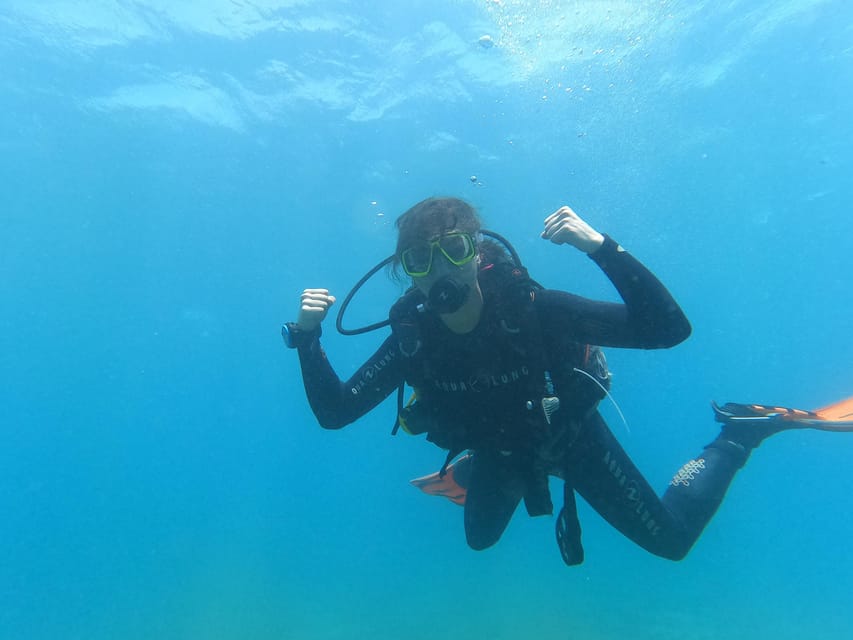 Tenerife south: Scuba Dive for beginners in Adeje - What the strongest praise tells you