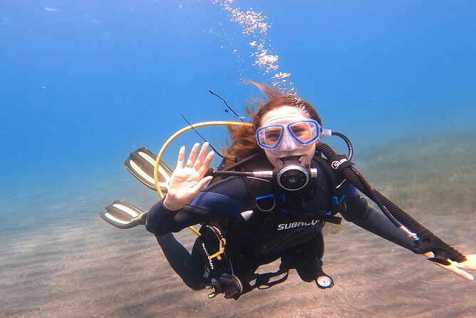 Tenerife Under The Sea - dive into 1-1 personalised experience - The Video Comes Before the Water